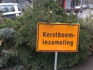 Kerstbomen inzameling op woensdag 10 januari