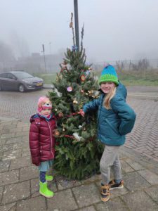 Noordveen heeft kerstbomen in het wild