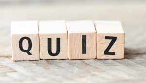 Senior Café Quiz Polbeek en Sutfene